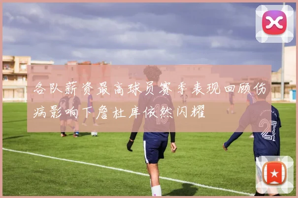 各队薪资最高球员赛季表现回顾伤病影响下詹杜库依然闪耀